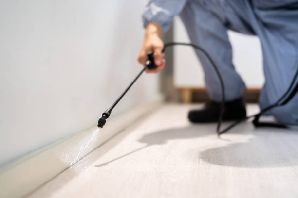 Rodent Entry Point Assessment in Lakewood Ranch
