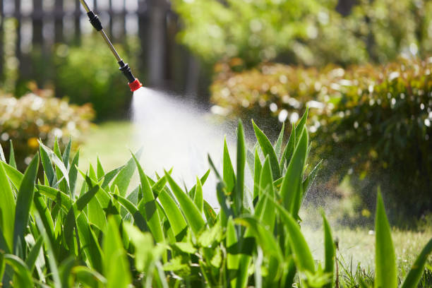 Tamper-Resistant Bait Stations for Rodents in Lakewood Ranch