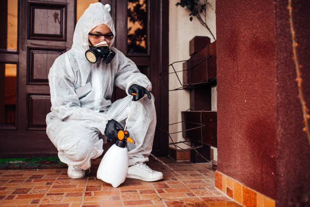 Attic and Crawl Space Rodent Treatment in Lakewood Ranch